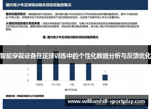 智能穿戴设备在足球训练中的个性化数据分析与反馈优化