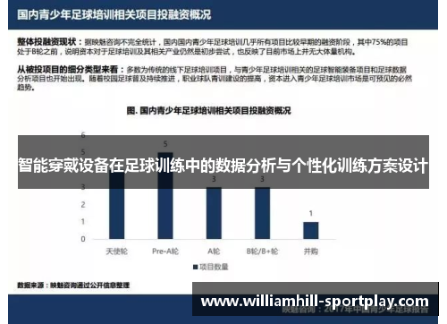 智能穿戴设备在足球训练中的数据分析与个性化训练方案设计