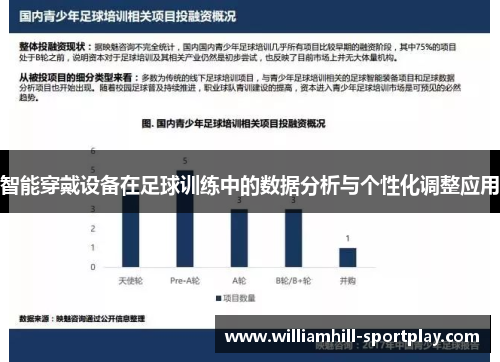 智能穿戴设备在足球训练中的数据分析与个性化调整应用